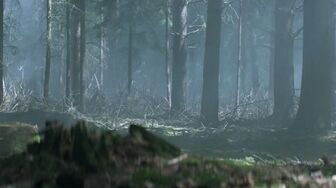 The UnXplained Special Presentation S02E10-HDTV-X264-NGP